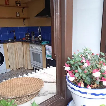 Apartment Casa Marna